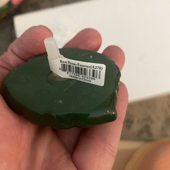 Nora Fleming mini Best Ferns forever - Picture 3 of 4